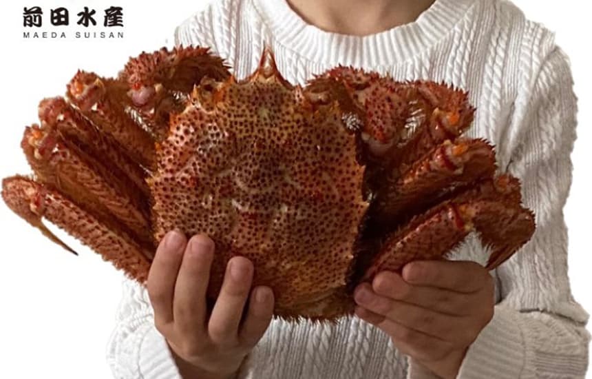 前田水産 特大毛蟹 1尾900g～1kgサイズ